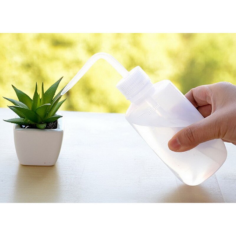 Plant Water Glass Plant Flowers Water Feeder Self Watering Bird Plant Waterer High Borosilicate Glass Flower Diameter: 9