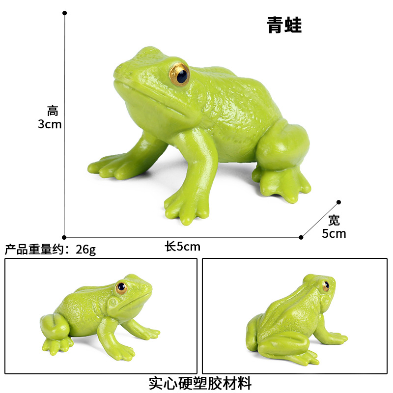 Simulatie Amfibie Dieren Kikker Levensduur Stadia Actiefiguren Kikkervisje Bullfrog Toad Model Collection Educatief Speelgoed: M-1669