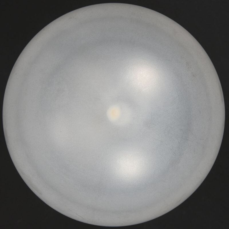 Zak  of 20 latex ballonnen 12 " or 30 cm parelmoer wit