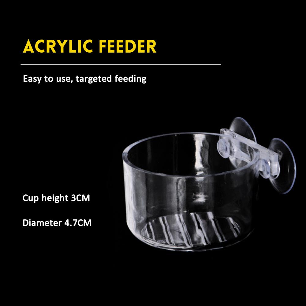 Planthouder aquarium | 4 Stuks Zuignappen Hydrocultuur Cups - Aquarium