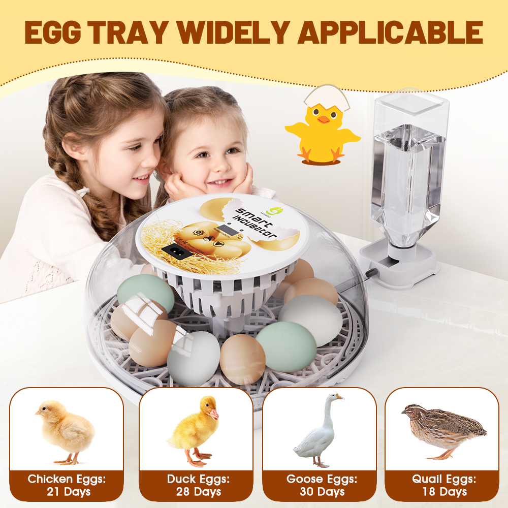M12 transparante hoes voor het observeren van thuisbroedmachine, automatische temperatuurregeling en weergave van 12 eieren, kleine incubator