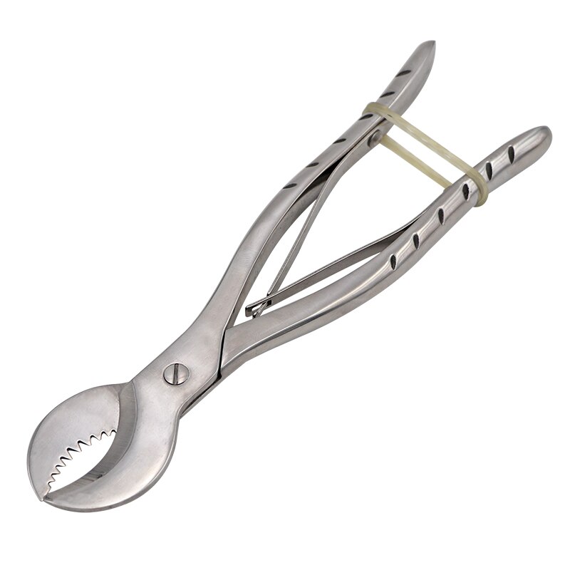 Dental Gips Scharen Scissiors Tandarts Lab Gereedschap Grote Roestvrijstalen Tang Instrument Gips Gips Schaar Materiaal