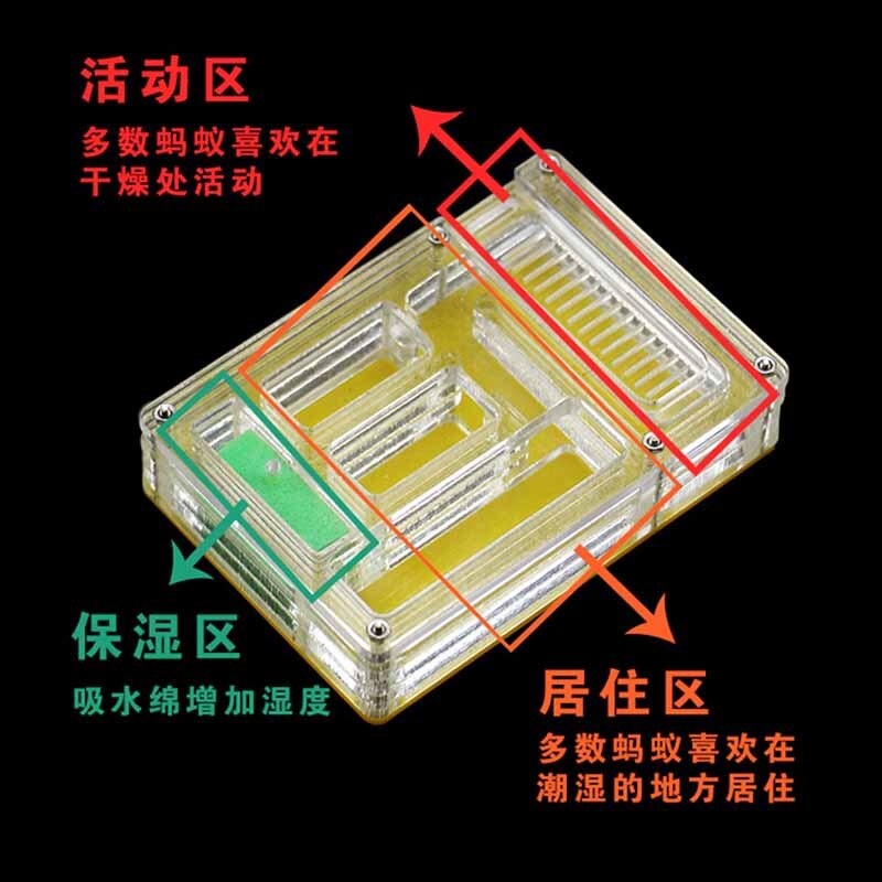 Acrylic Ant Farm Pet Breeding Box Insect Supplies Reptile Terrarium for Pet Lovers