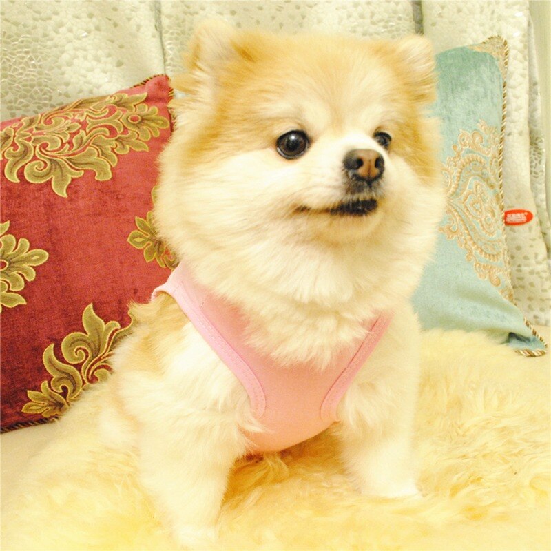 Chihuahua Puppy Clothes Kawaii Strawberry Dog Tshirt Pomeranian Dog Clothes Doggy And Kitten Comfortable Apparel