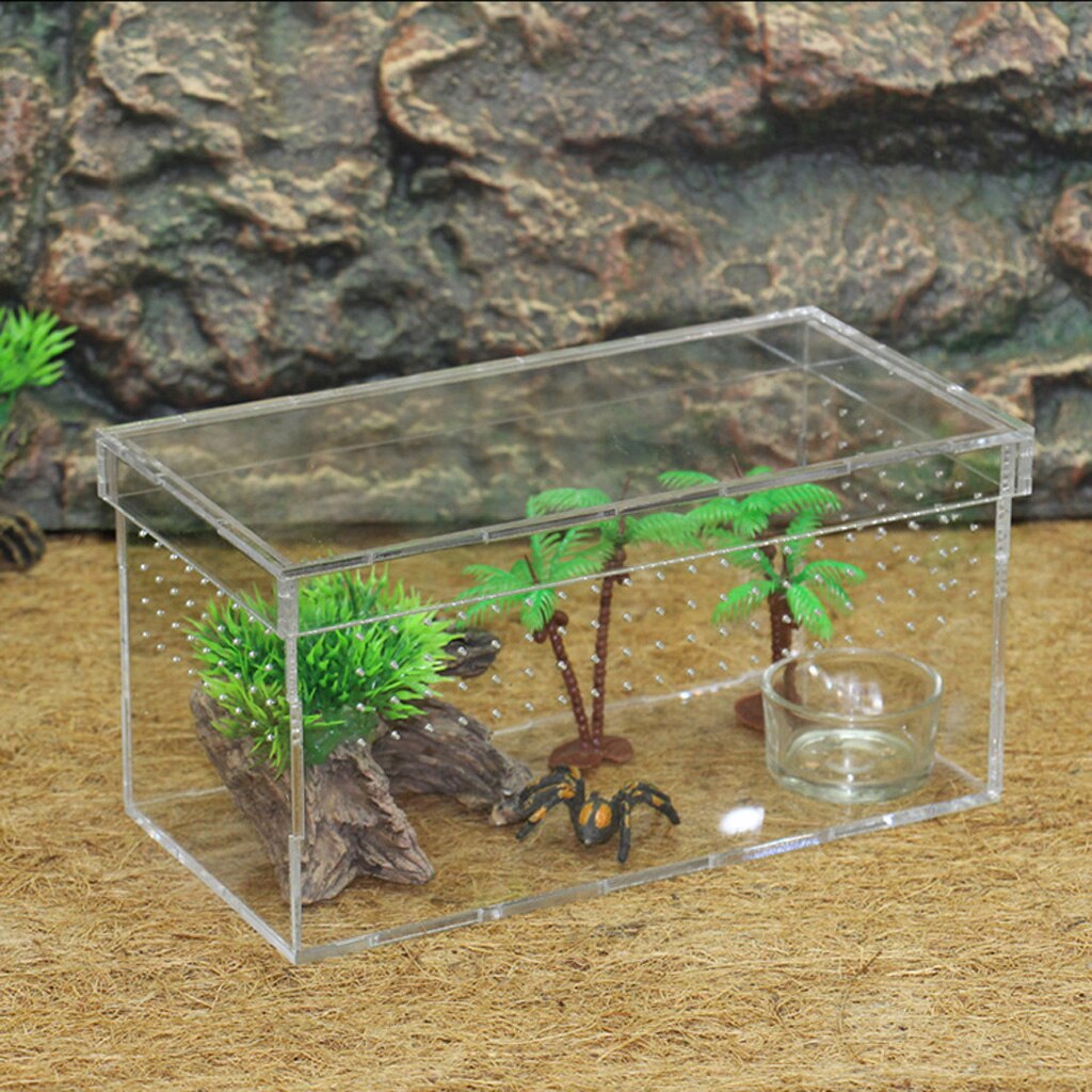 Reptile & Amphibian Terrarium Box For Snakes Lizar... – Vicedeal