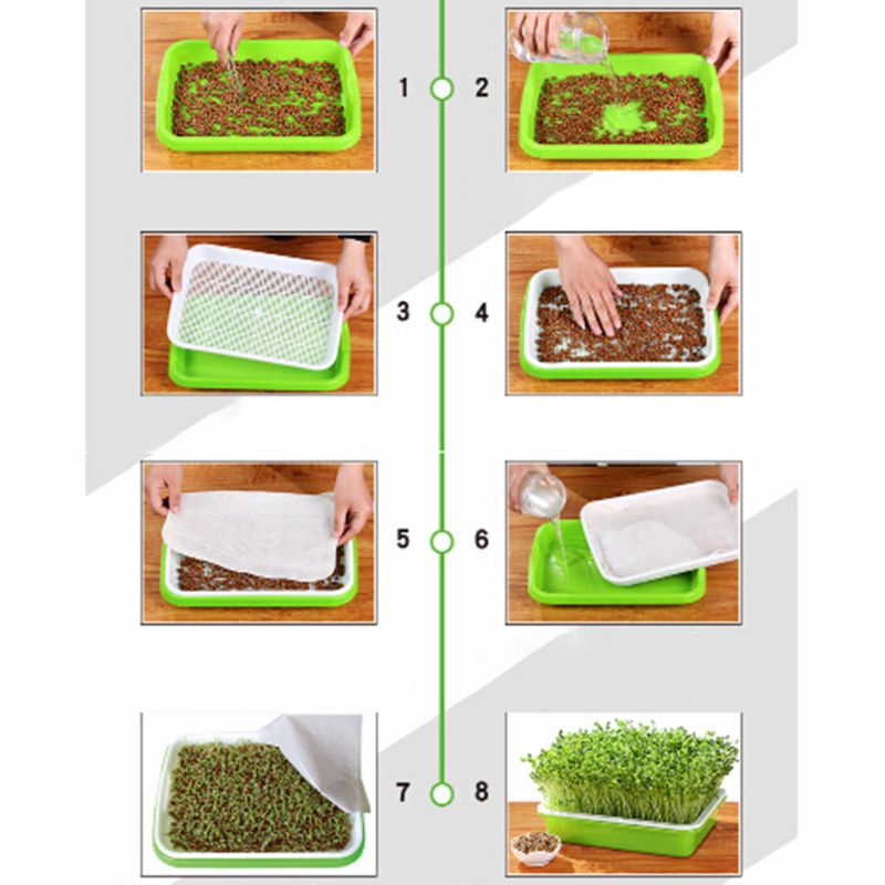 Plateau de germe de graines sans BPA PP sans sol cultivateur d'herbe de blé sain avec couvercle plaque de germe de semis Hydro