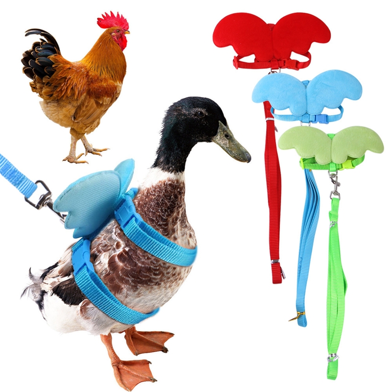 Pet Duck Outside Walking Harness Leash Hen Chickens Harness Adjustable Outdoor Training Traction Rope for Goose Hen