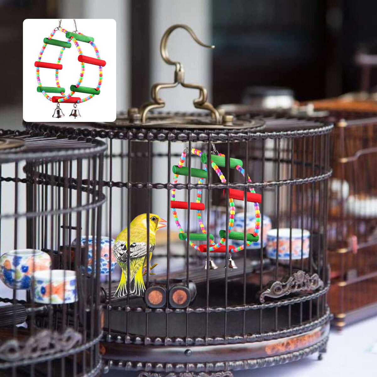 Colorful Pet Parrot Chewing Ferris Wheel Shape Han... – Grandado