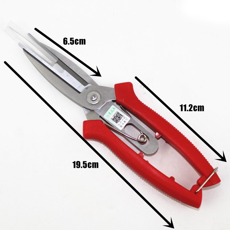 Ciseaux à fruits à Double tranchant en acier inoxydable, outils à main portables pour le jardinage