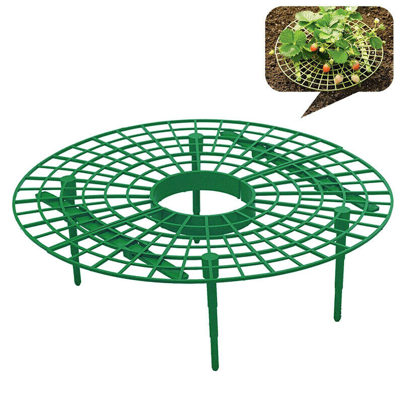 Erdbeere Stehen Pflanzung Gestell Obst Unterstützung Anlage Klettern Reben Blume Säule Gartenarbeit Halterung Gartenarbeit Stehen