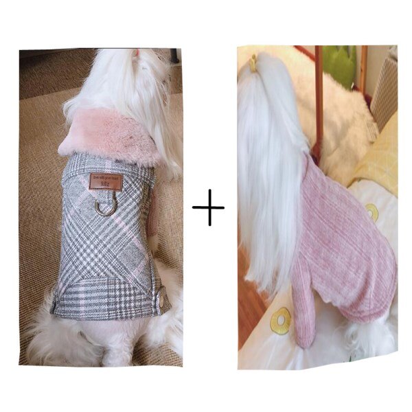 Luksus vinter hund ullklær med pelskrage valp yorkshire hunder jakke frakk klær til små mellomstore kjæledyr chihuahua: Frakk pluss fløyel / Xl