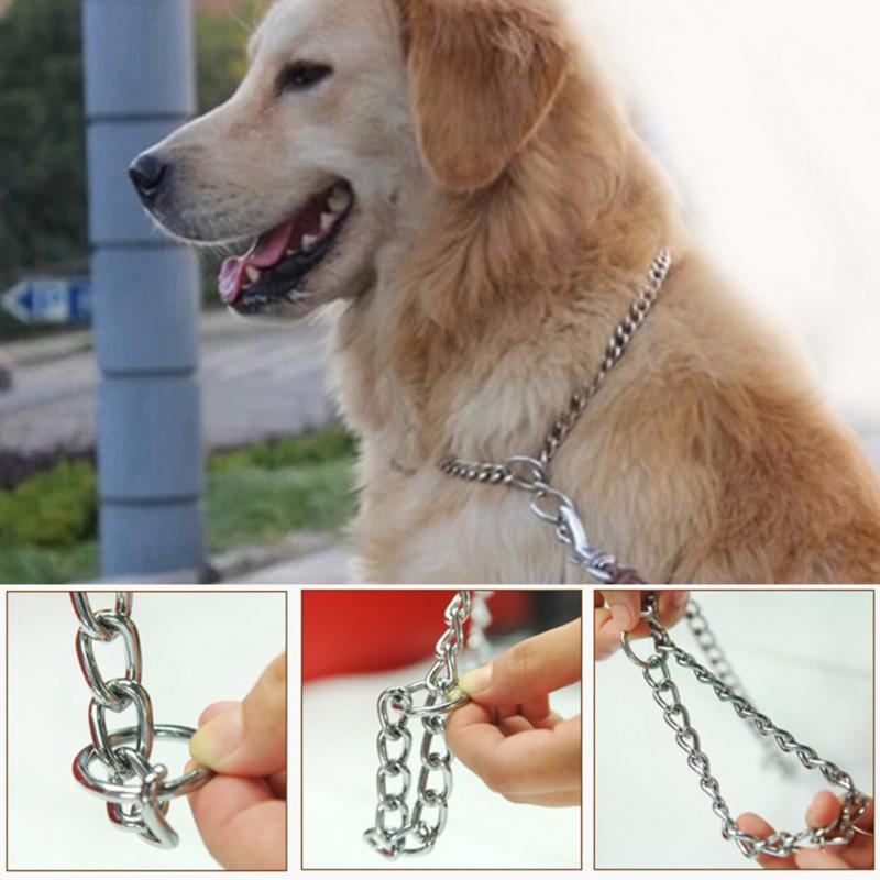 Metal rustfrit stål kæde hund krave dobbelt række forkromet træning show krave justerbar sikkerhedskontrol