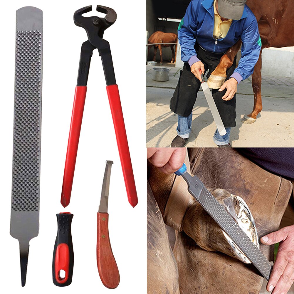 Hoof Cutter Set Horses Trimmers Pliers Tool Horses Rasp Horseshoe Cutting Pliers Horseshoe File Hoof Trimmer Equine Tools