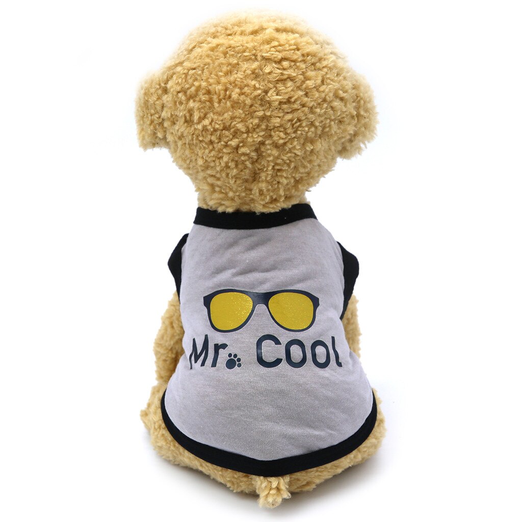 Vêtements chauds d'hiver pour animaux de compagnie, chemise avec lettres, peinture, polaire, chiot, chat