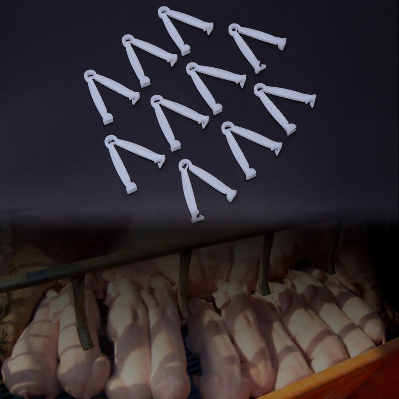 10pcs Pig Umbilical Cord Clip Clamp Disposable Whelping Kit Farm Ranch Supplies