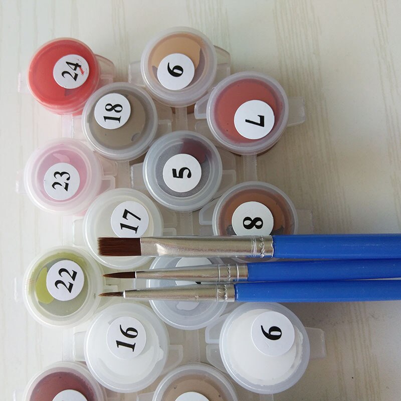 Paint by Numbers for Adult DIY Paint by Number Kits for Kids Beginner on Canvas UY8