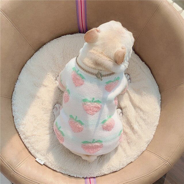Huisdier herfst/winter trui voor katten en honden perzik print kleding corgi hond schnauzer teddy kleine middelgrote hond kleding