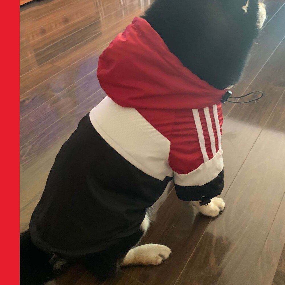 Dog Clothes for Small Large Dogs Big Luxury Dog Clothes for York Dogs Raincoat Jacket Winderbreaker French Bulldog