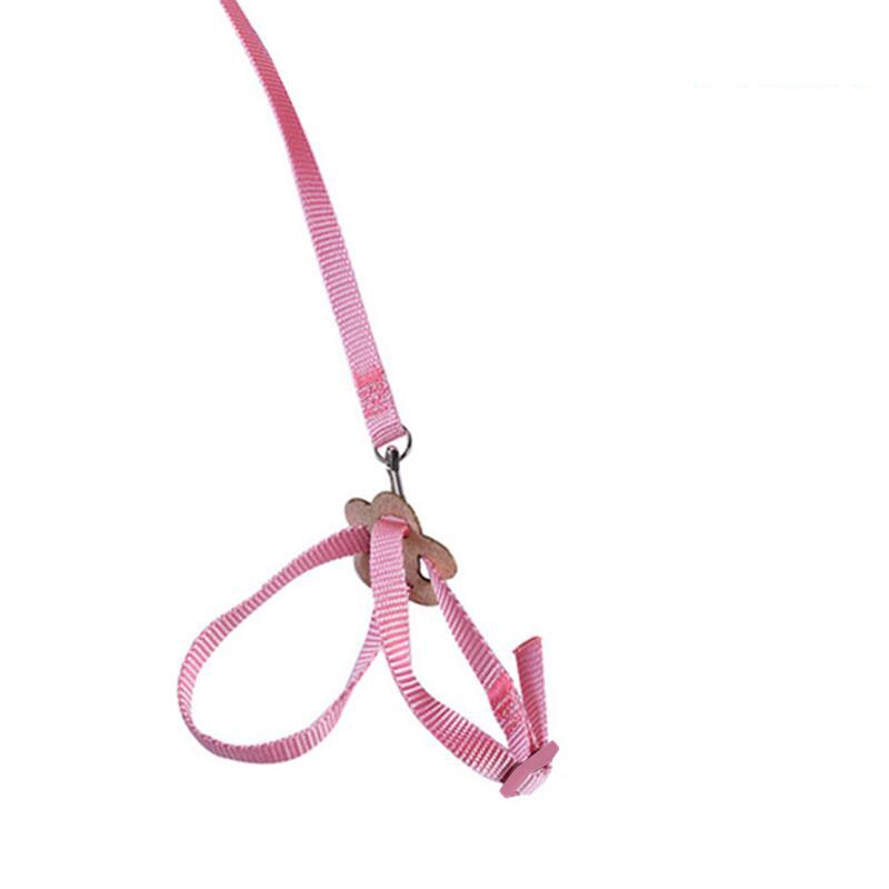 Pet Parrot Traction Strap Pet Anti-bite Training Rope Outdoor Rope Pet Leash Adjustable Bird Harness For Hamster, Lizard: Pink