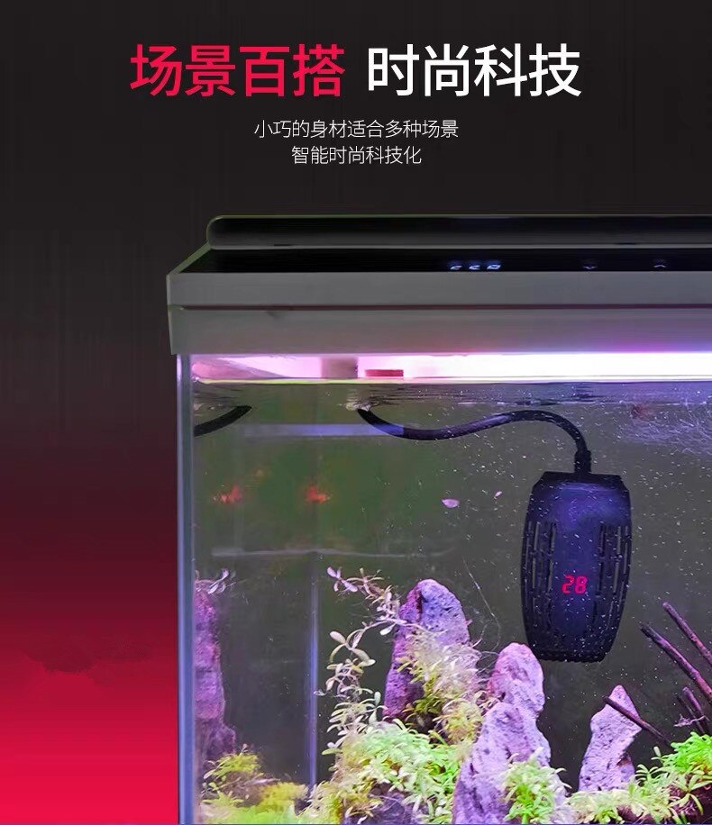 Mini acuario de tortugas Intelligence de 220V Calefacción Automática de temperatura constante varilla Tortuga pequeña calentador de acuario