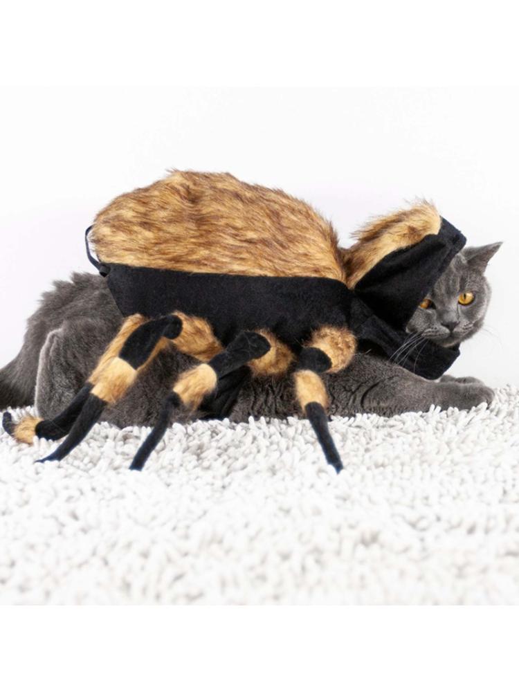 Deadly Simulation Spider Scary Cat Costume Halloween Cosplay Chucky Doll Clothes