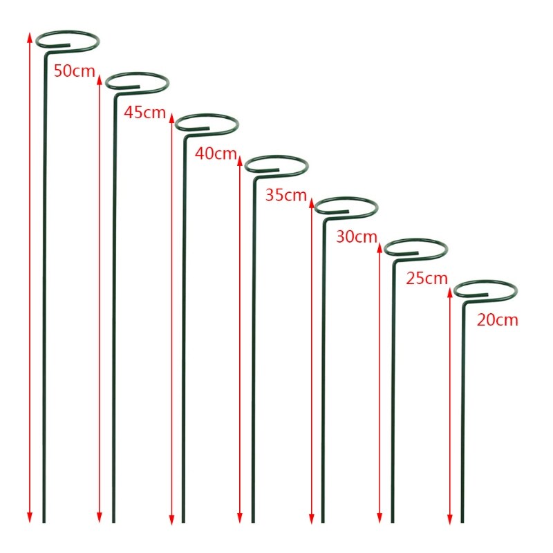Garden Support Stake Ring Metal Garden Plant Supports Single Stem Shrub Holder for Plants Rose Flowers