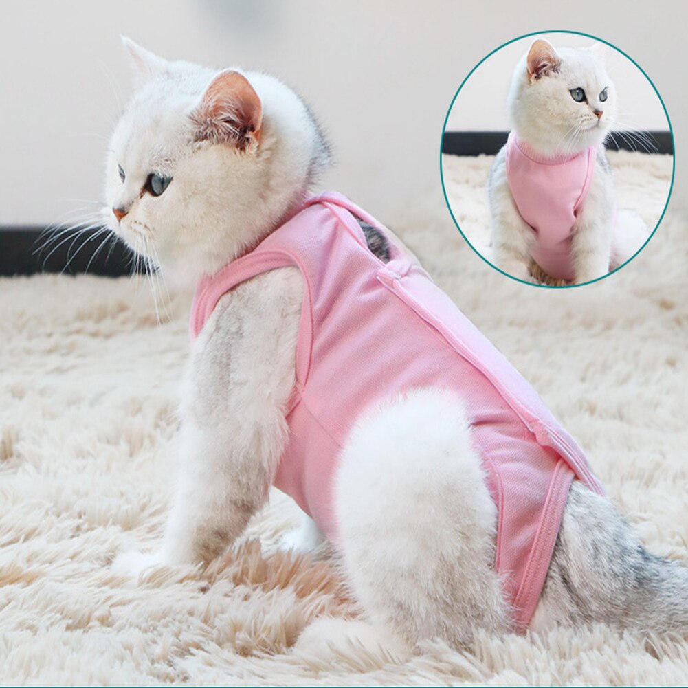 Vêtements de chirurgie de stérilisation pour chat, combinaison physiologique en coton respirant, vêtements de récupération pour chaton féminin