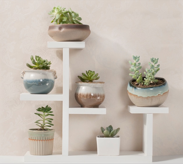 Gør det selv-samle massivt træ karnap sukkulent blomsterhylde flerlags indendørs stue skrivebord lille blomsterstativ altan stativ