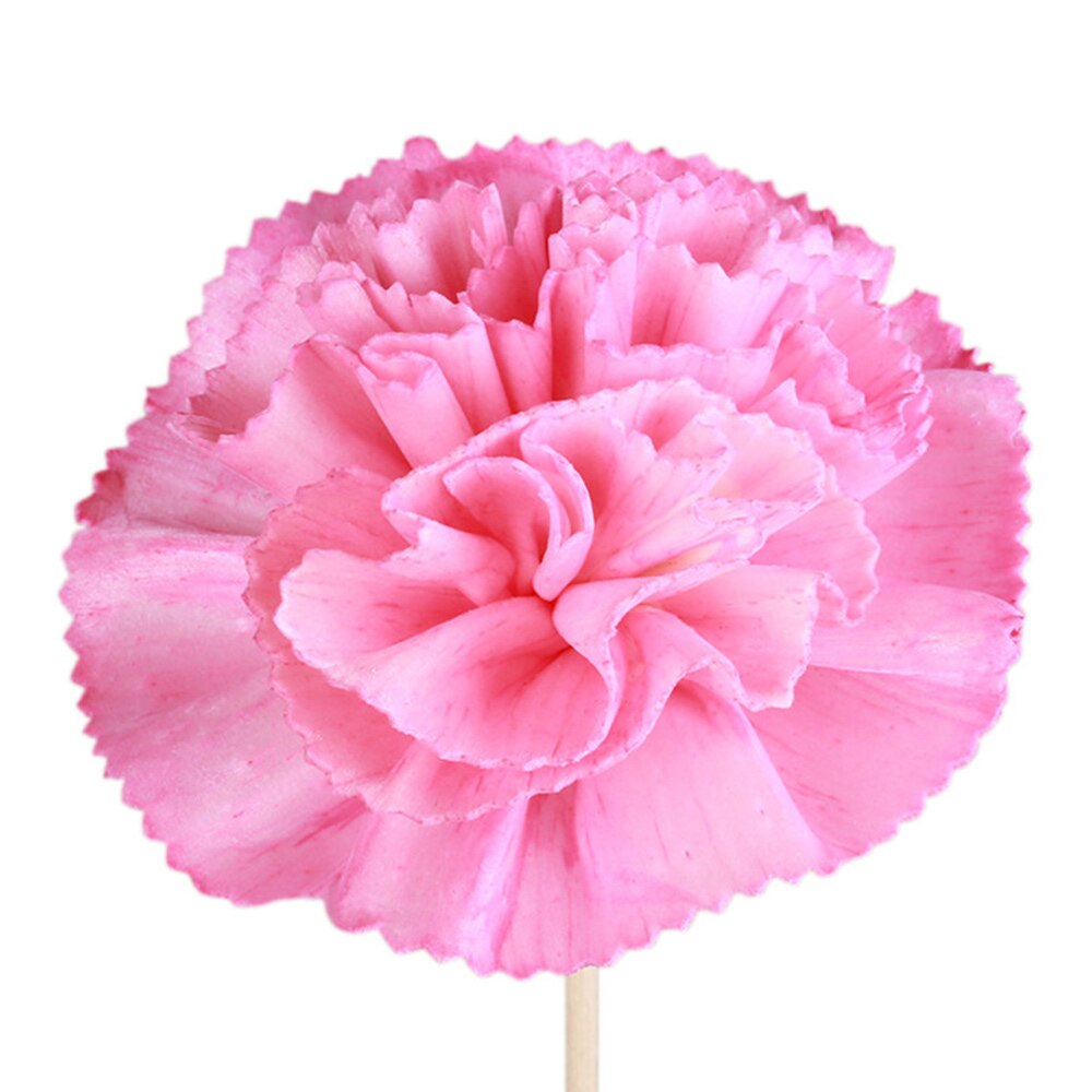 5 Stks/set Kunstmatige Bloem Rotting Sticks Geur Diffuser Aroma Riet Olie Diffuser Refill Stok Diy Thuis Kamer Decoratie
