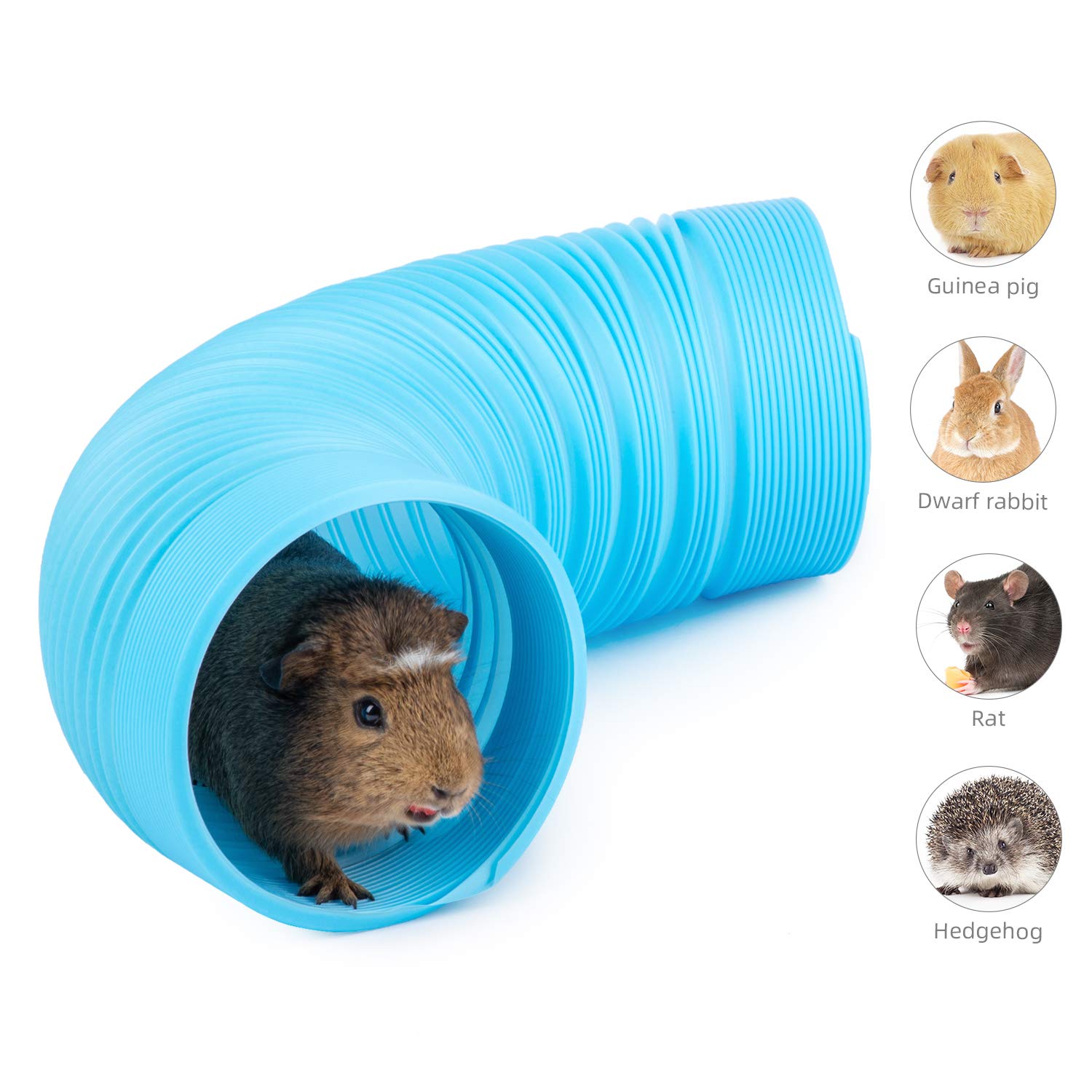 Fun Hamster Tunnel Oefening Tube Interactieve Training Speelgoed Voor Cavia, Chinchilla, Ratten En Dwerg Konijnen Dierbenodigdheden