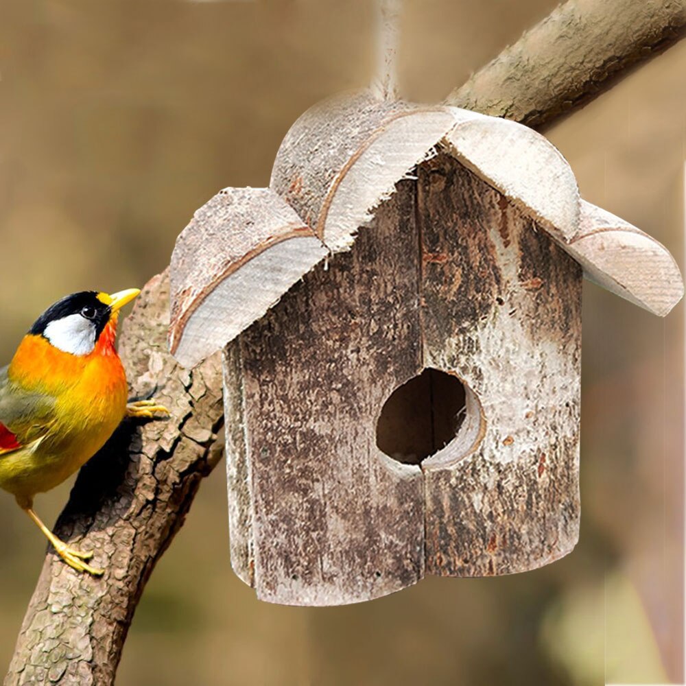 Maison des oiseaux en bois avec des colibris à sus – Grandado