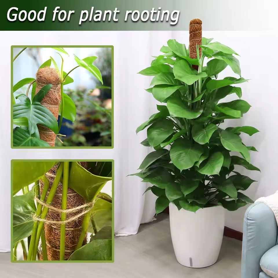 1pc pólo de musgo dobrável para plantas pólos de musgo para plantas de escalada | Suporte para plantas Monstera em fibra de palmeira de coco | Coco feito à mão