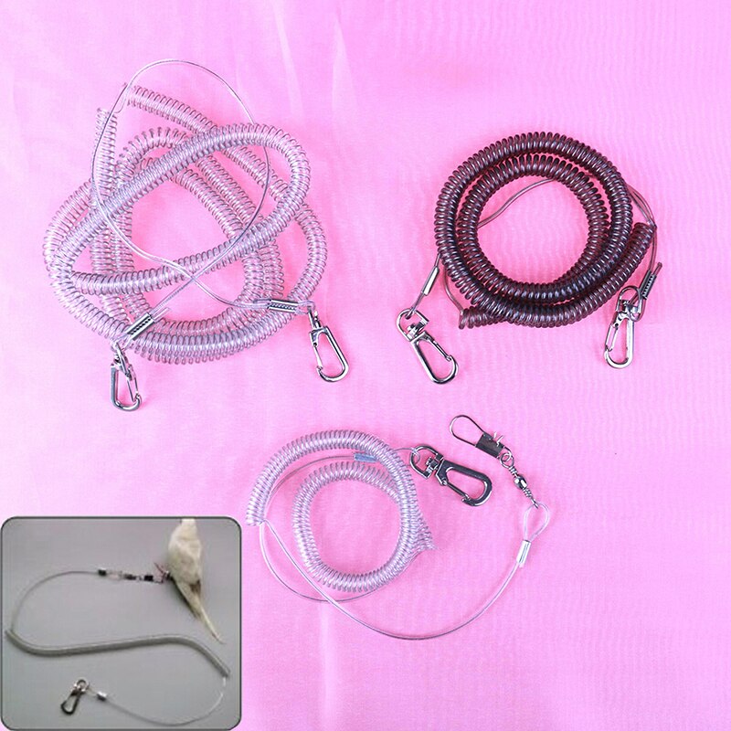 Laisse de plomb pour perroquet 3m 5m 10m | Kit pour oiseau perroquet, corde d'entraînement Anti-morsure, corde calopète pour perruche extensible