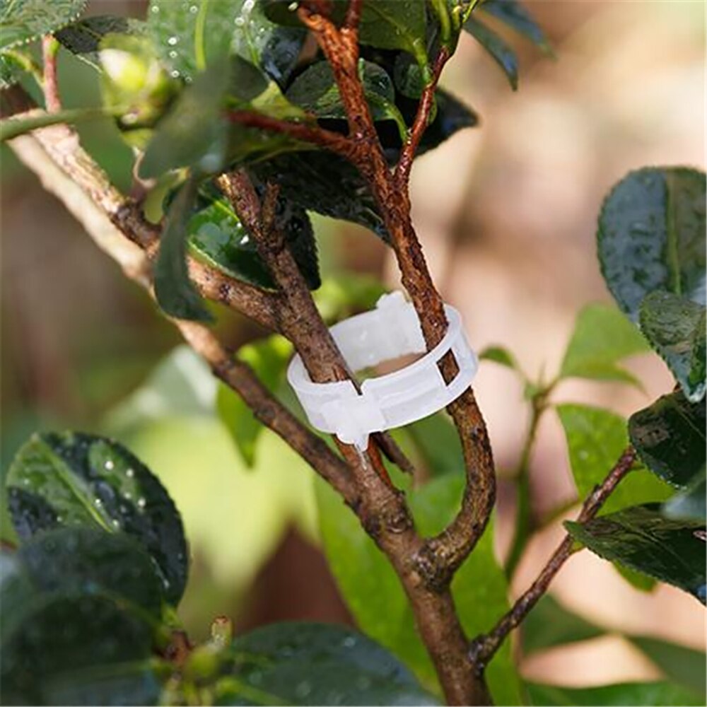 50 stk-pakke slitesterk plastslynge klips feste plante vinstokker tomat grønnsak busk ranke bindemiddel jordbruksklips