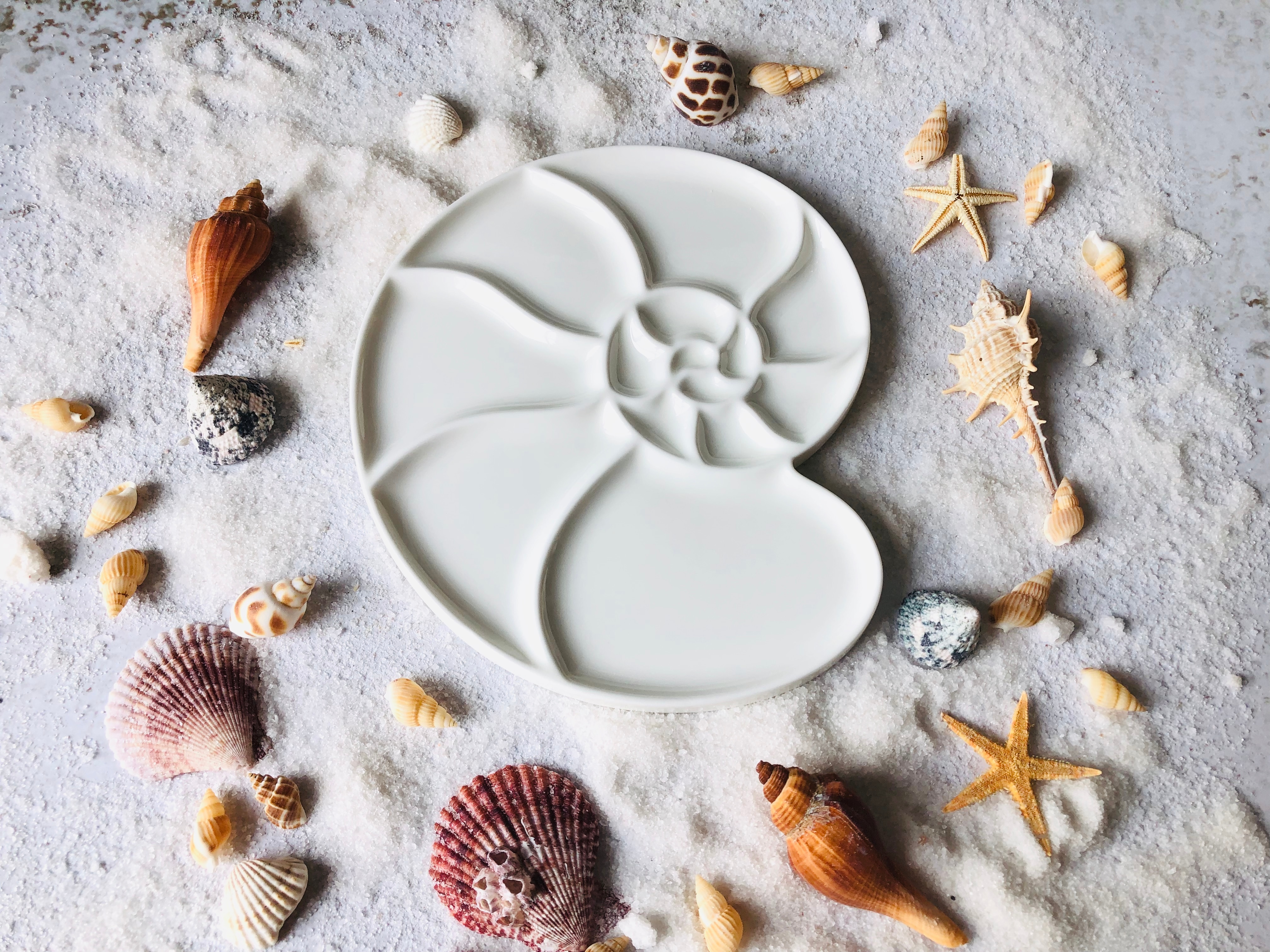 Schilderen Keramische Aquarel Palet Ronde Schelp Kunstenaar Professionele Keramische Palet Gouache Paintingtray Olieverf Schotel Art