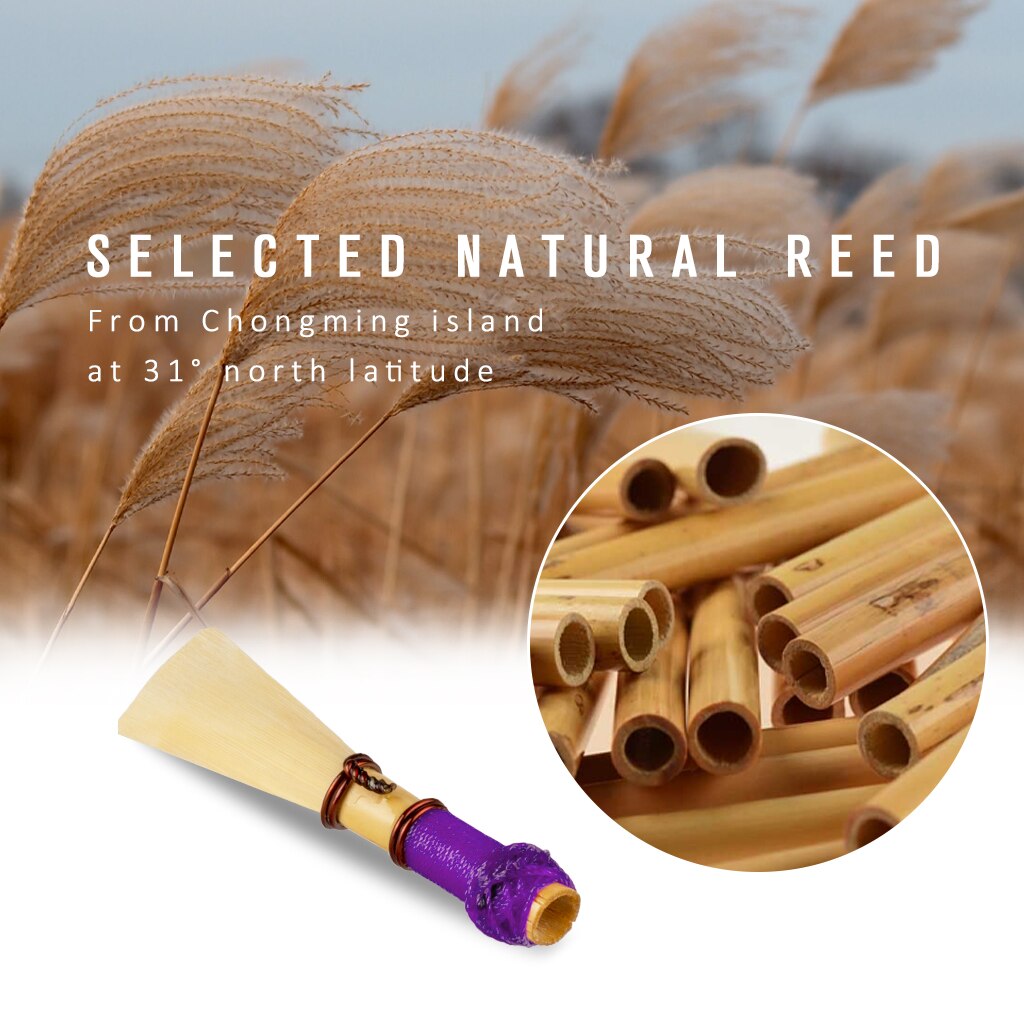 NAOMI Bassoon Reeds - 2 Pack - Medium Strength - Individual Moisture-Proof Case