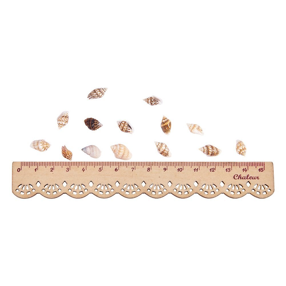 About 1300-1500 Tiny Sea Shell Ocean Beach Spiral Seashells Craft Charms 7-12mm for Candle Making,Home Decoration,Beach Theme