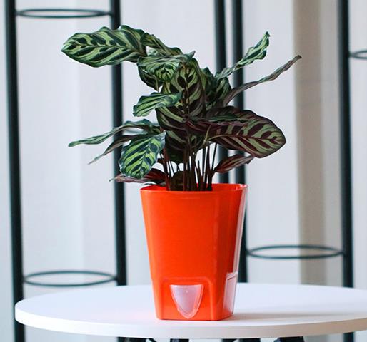 Automatic Flower Plants Pot PP Self Watering Planters Indoor Nursery Pot: B3 / XL 140X180MM