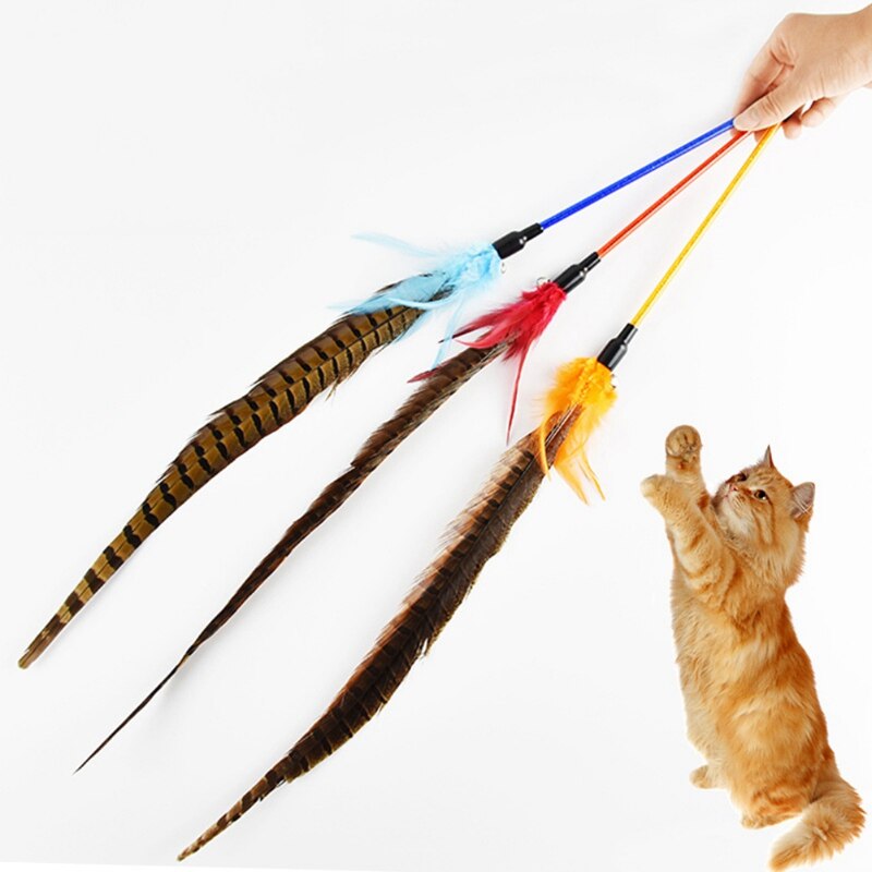 Kat Interactieve Veer Speelgoed Tease Kat Wand Speelgoed Met Lange Fazant Featherfor Oplossen Verveling En Oefening Kat Chasing