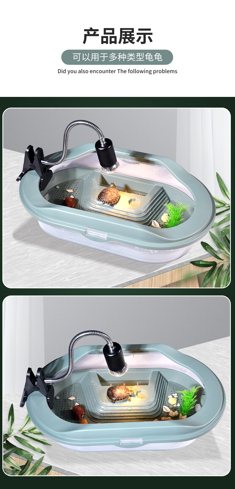 Cylindre d&#39;alimentation pour tortue, Pot domestique, petit et grand réservoir de poisson, boîte d&#39;alimentation pour tortue