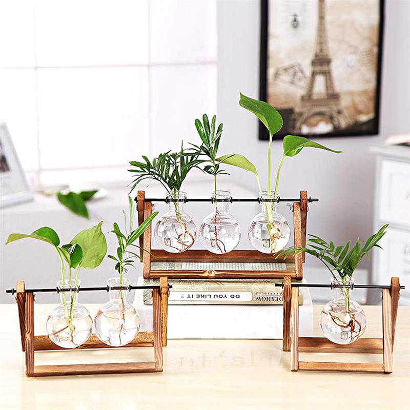 Vintage hydroponic vatten växt glas blomma växt transparent vas träram stå bordsskiva växt dekor diy