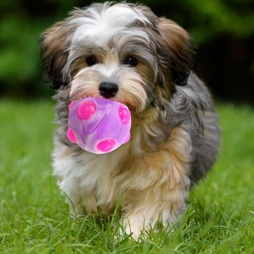 Dog Molar Ball Bite Resistance Safe TPR LED Dancing Ball Toys for Dog
