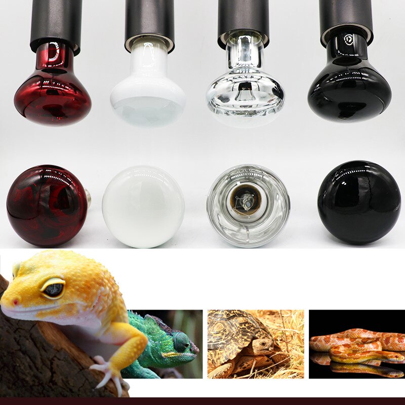 Lámpara calefactora para reptiles, luz roja cálida de noche, aislamiento térmico para lagartos, tortugas, iluminación de animales