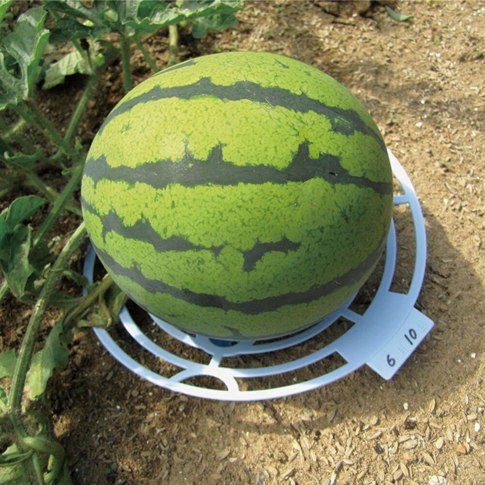 Duurzaam Multi Functie Meloen Squash Cradle Watermeloen Cradle Plant Ondersteuning Tuin Ondersteuning Protector Voor Watermeloen