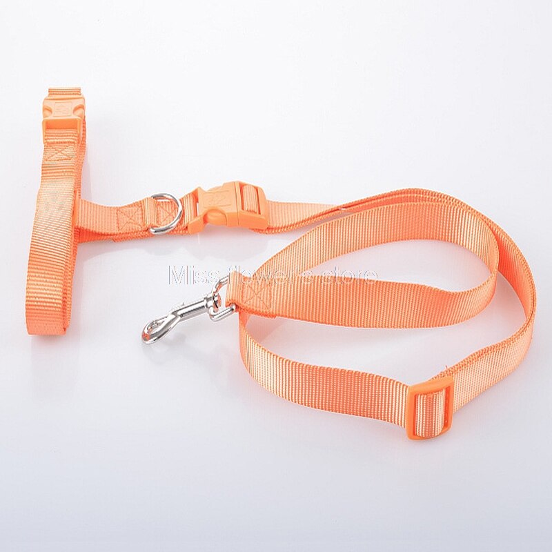 1 PCS Pet Hond Running Walking Jogging Verstelbare Handsfree Leash Taille Riem: Orange