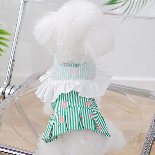 Dog Pets Clothes Summer Cat Vest Small Dog Costume Floral Skirt Yorkies Pomeranian Clothes Bichon Poodle Dog Clothing: Green / S