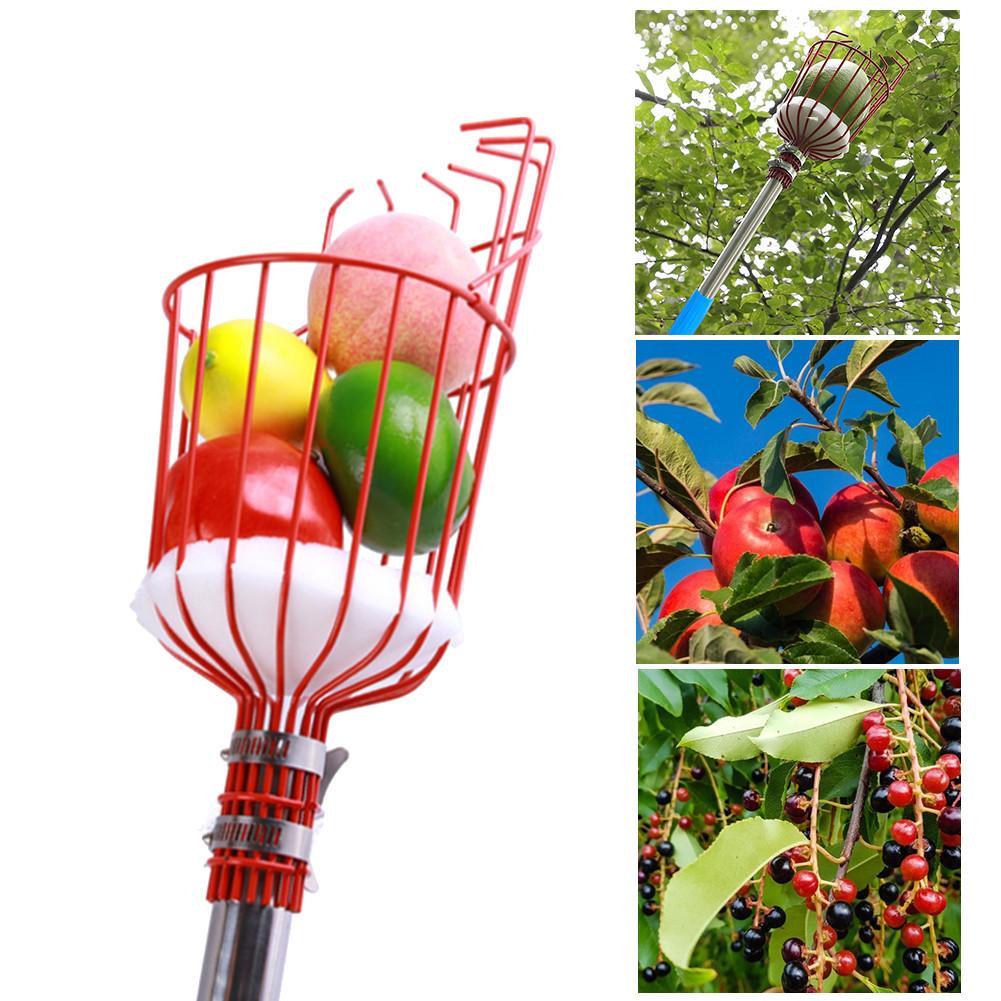 Fruit Picker with Basket and Pole Easy to Assemble Use Fruits Catcher Tree Picker for Getting Fruits Picker Tool