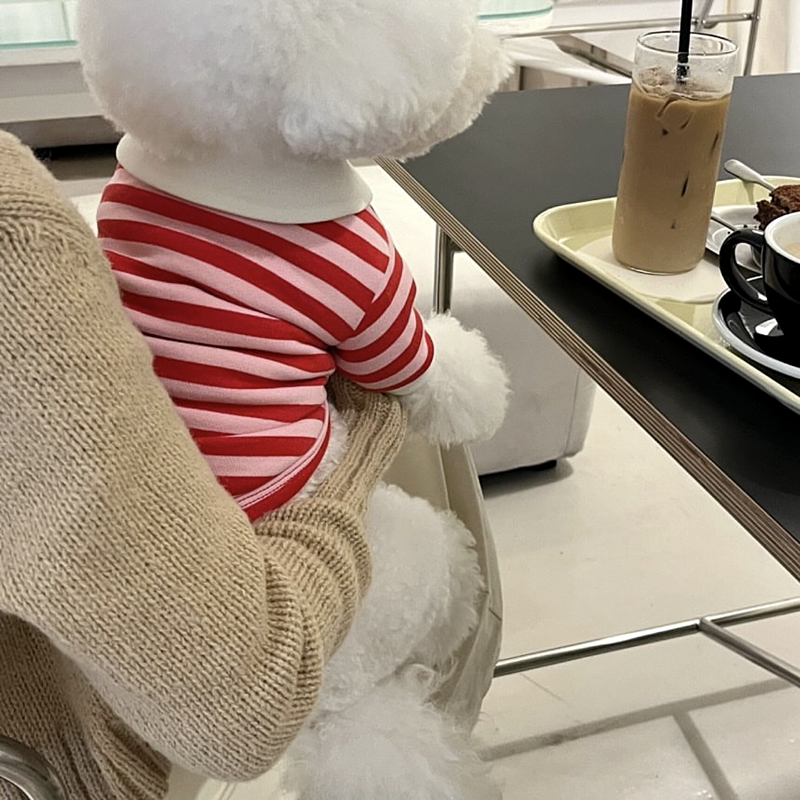 Vêtements pour chiens imprimés fraises, gilet rose pour animaux de compagnie, Costume pour chiot, Polo pour chien et chat, Chihuahua Bichon, T-Shirt mignon pour filles, pull pour chien