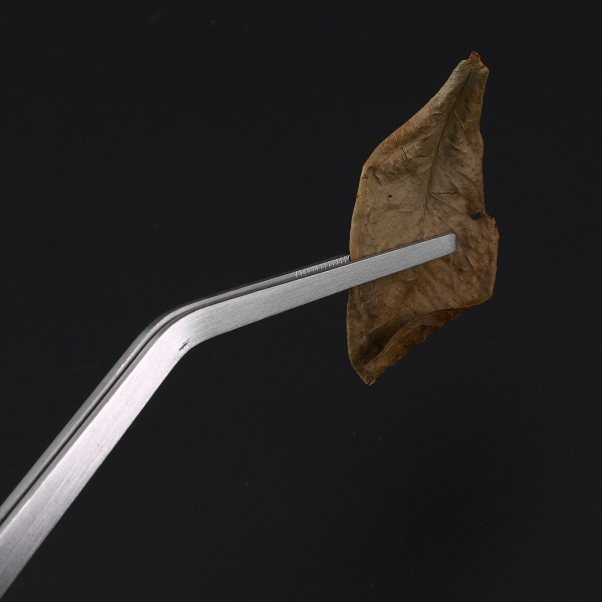 2 Stuks 48 Cm Roestvrijstalen Rechte Pincet En Gebogen Tip Pincet Aquarium Tank Aquatic Plant Tang Pincet Gereedschap