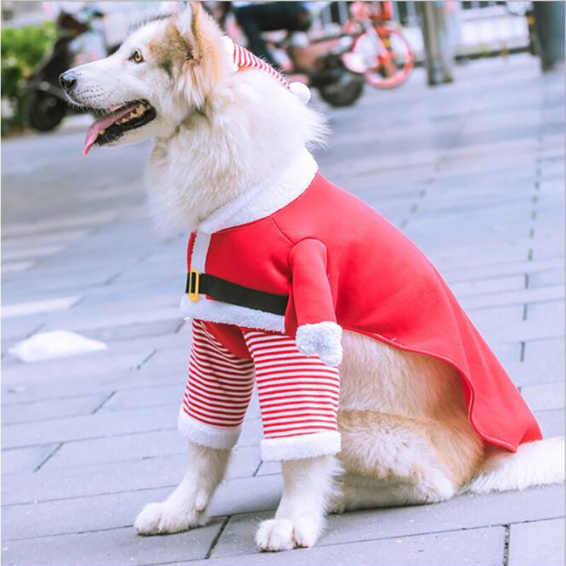 Kæledyr tøj hunde tøj til små mellemstore hunde kæledyr tøj sød forår sommer fleece print hunde tøj – Grandado